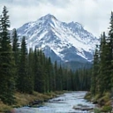 Icon representing nature respect