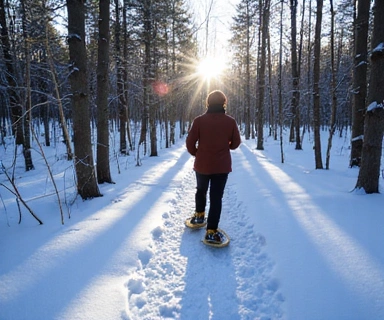 Person snowshoeing through a winter forest
